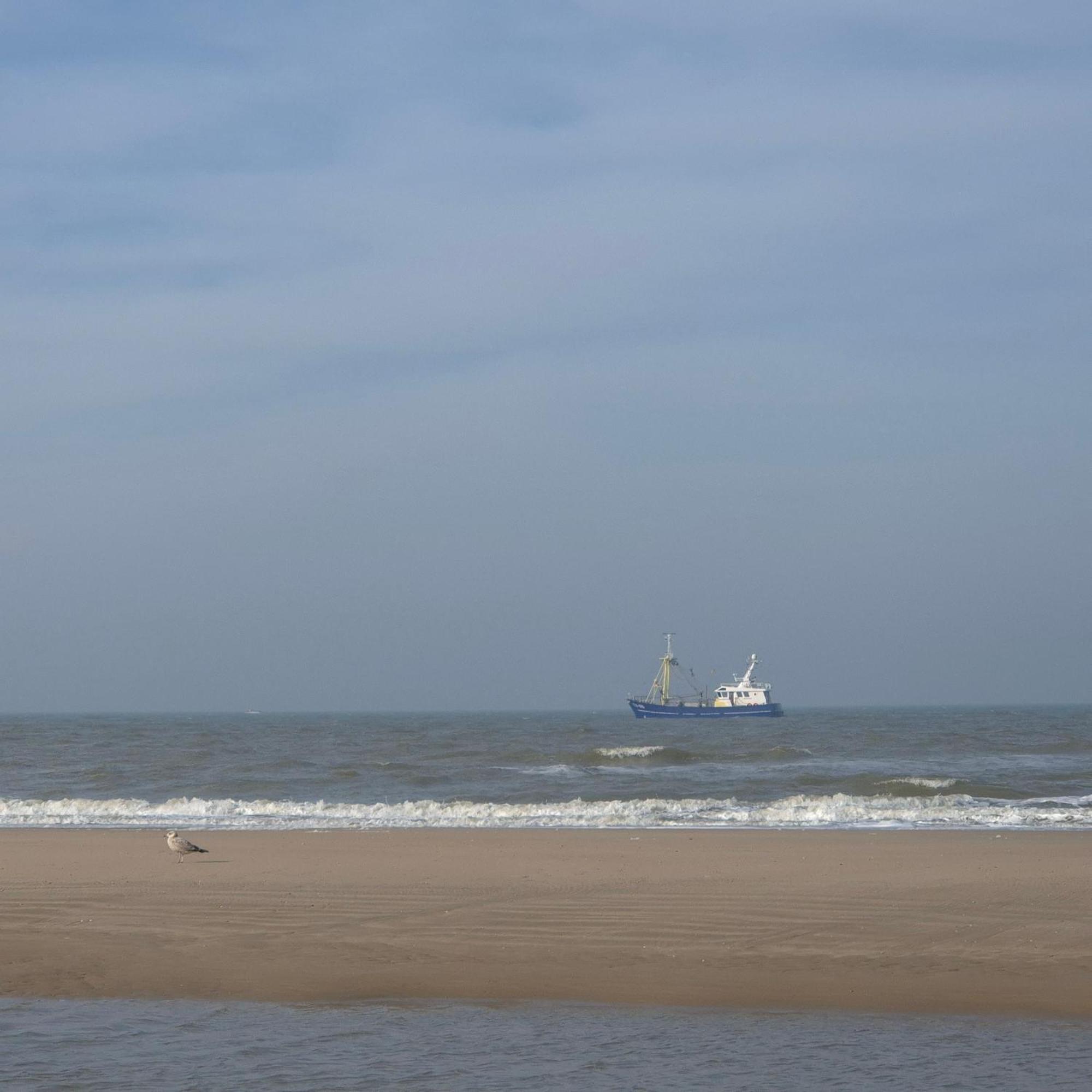 Tiny De Haas Met Infraroodsauna Apartment Egmond aan Zee